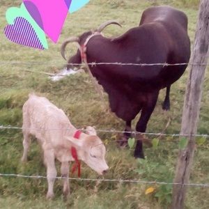 Meet your Posher, Rishie